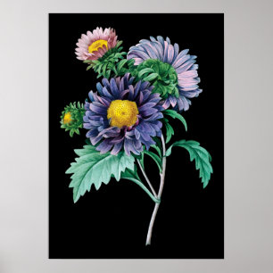 Bakgrundsutskrift av botanisk svart bakgrund poster