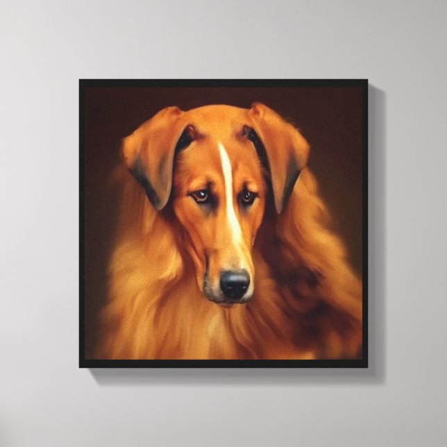 Bakharwal Dog - Hundporträtt Canvastryck (Framsida)