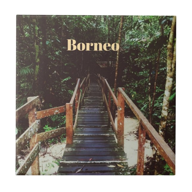 Bako Nationalpark - Borneo Kakelplatta (Framsidan)