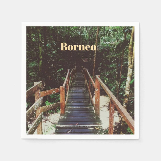 Bako Nationalpark - Borneo Pappersservett (Framsidan)