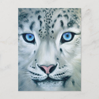 Bakom Blue Ögon - Snö Leopard Vykort