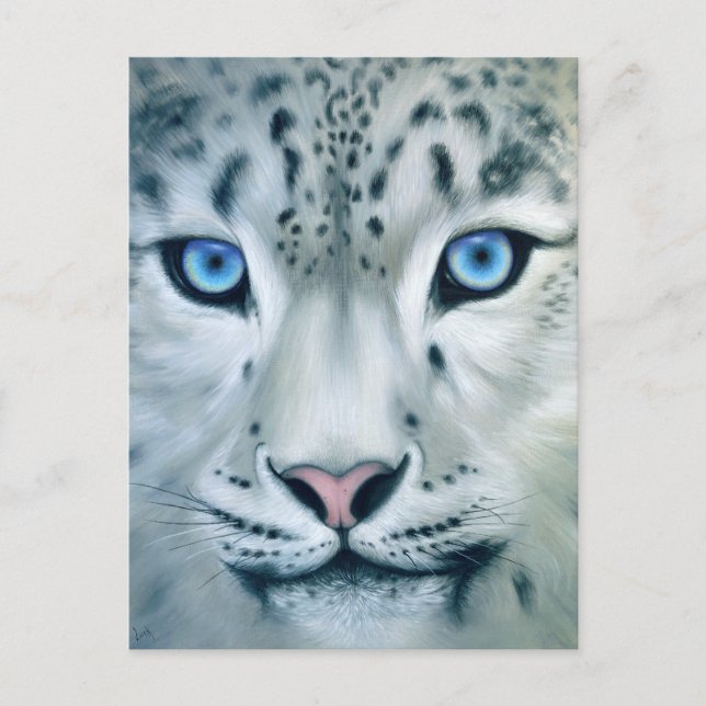 Bakom Blue Ögon - Snö Leopard Vykort (Framsida)