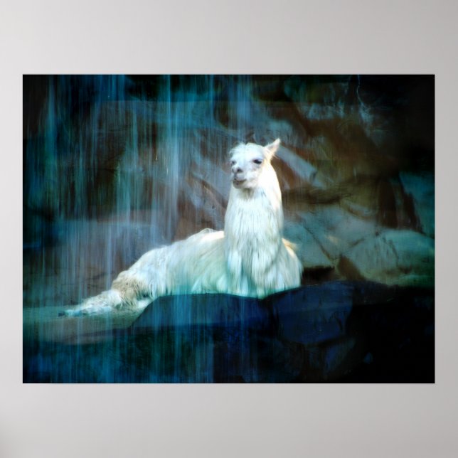 Bakom Falls Poster (Framsidan)