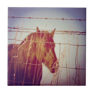 Bakom stängslet Abstrakt Horse Kakelplatta