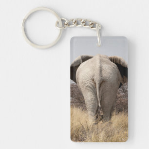 Bakre vy av elefant