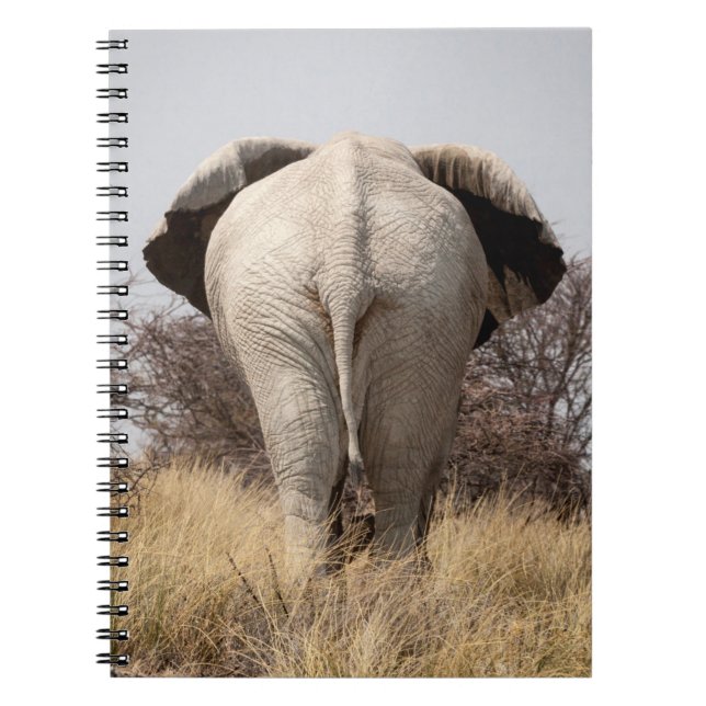 Bakre vy av elefant anteckningsbok med spiral (Framsidan)