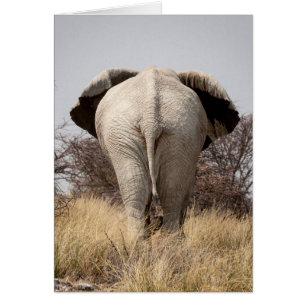 Bakre vy av elefant hälsningskort