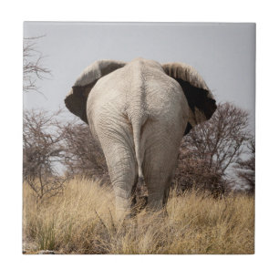 Bakre vy av elefant kakelplatta