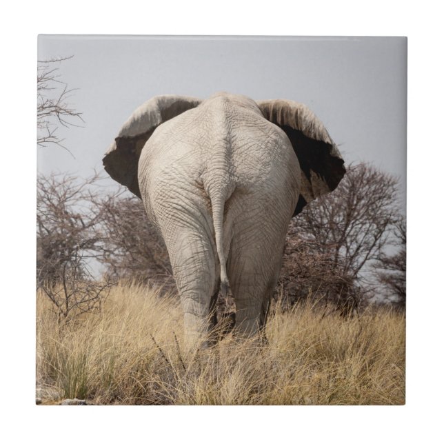 Bakre vy av elefant kakelplatta (Framsidan)