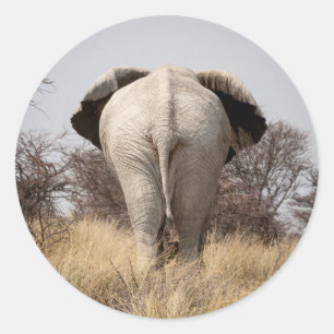 Bakre vy av elefant runt klistermärke
