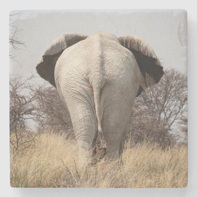 Bakre vy av elefant stenunderlägg (Framsidan)