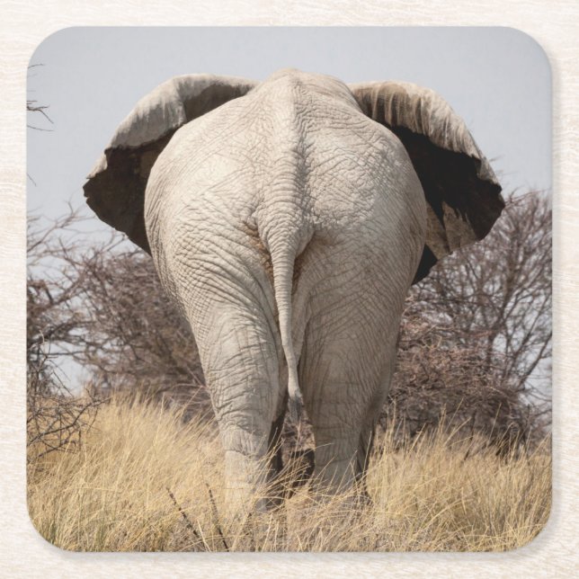 Bakre vy av elefant underlägg papper kvadrat (Framsidan)