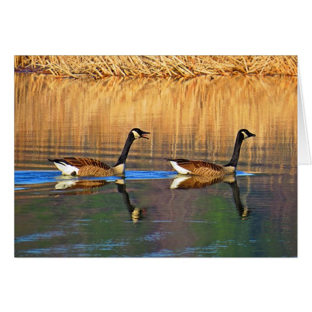 Baksätesdrivrutin Hälsningskort (Framsidan Horizontal)