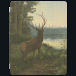 Baksida av Elk Tittar över Sjö iPad Skydd<br><div class="desc">Bor du långt från naturen? Denna vackra och likväl klassiska bild av ge är ett fredligt intryck och färgen av älgen är korrekta,  vilket gör denna bild mycket realistisk. Skaffa den här naturkonsten på dina favoritprodukter!</div>
