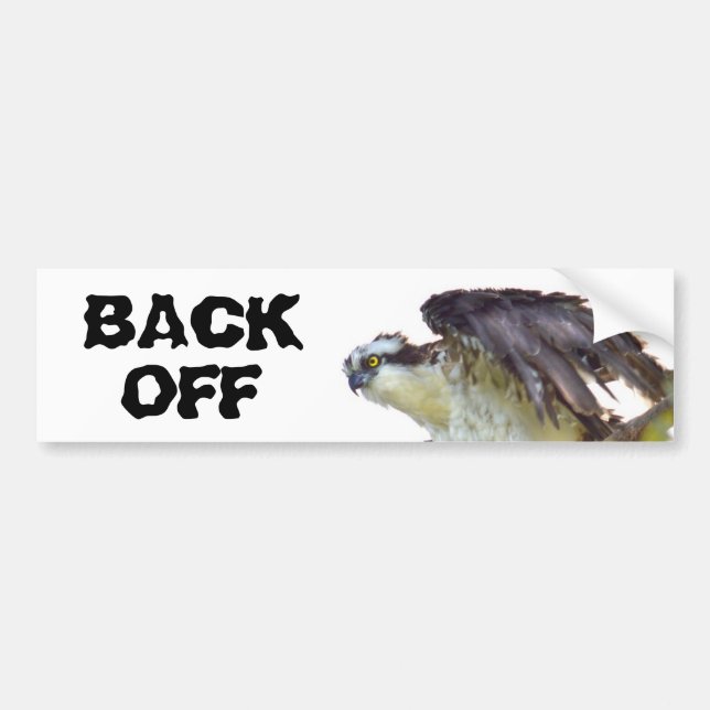 Baksida av Frazzled Hawk Bumper Sticker Bildekal (Framsidan)