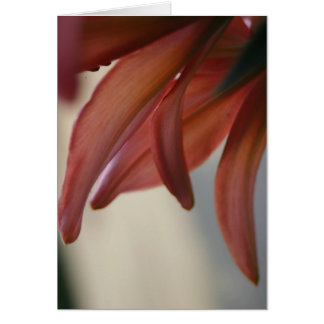 Baksida av Rosa Tiger lily Imaginative Imagery Car Hälsningskort