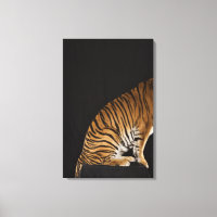 Baksida av tiger sitta på plattformen