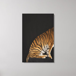 Baksida av tiger sitta på plattformen canvastryck