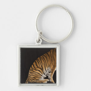 Baksida avslutar av tigersitta på plattformen fyrkantig silverfärgad nyckelring