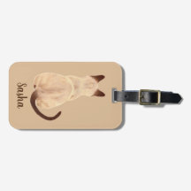 Baksida för Sasha beskådar Siamese kattsitta