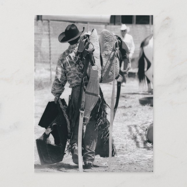 Baksidaen beskådar av cowboy som hauling utrustar vykort (Framsida)