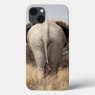 Baksidaen beskådar av elefant