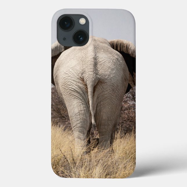 Baksidaen beskådar av elefant (Baksida)
