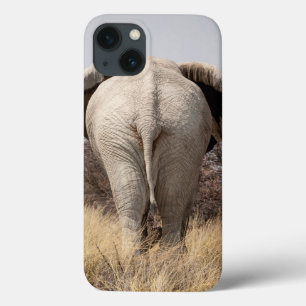 Baksidaen beskådar av elefant