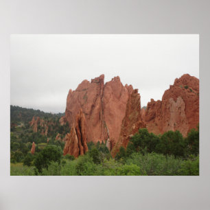Baksidan av Kissing Camels i Gods Garden Poster