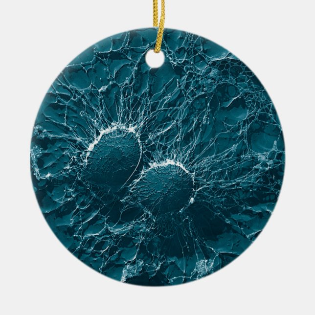 Bakterie- celler av staphylococcusen - aureus slut julgransprydnad keramik (Framsidan)