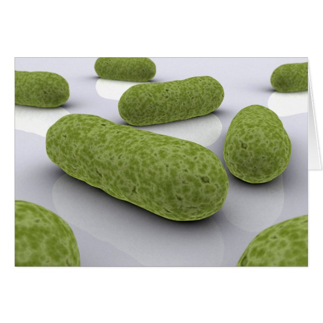 Bakteriebild 1 hälsningskort (Framsidan Horizontal)