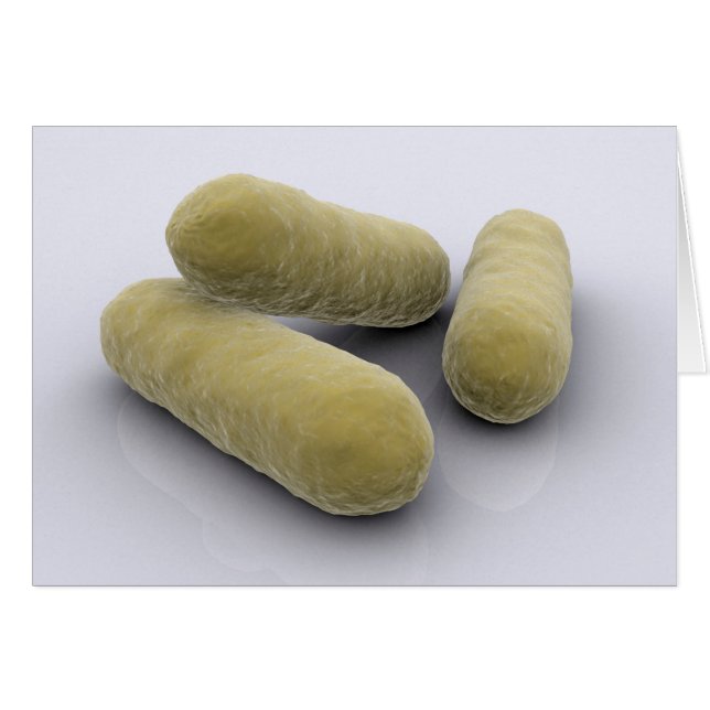 Bakteriebild 2 hälsningskort (Framsidan Horizontal)