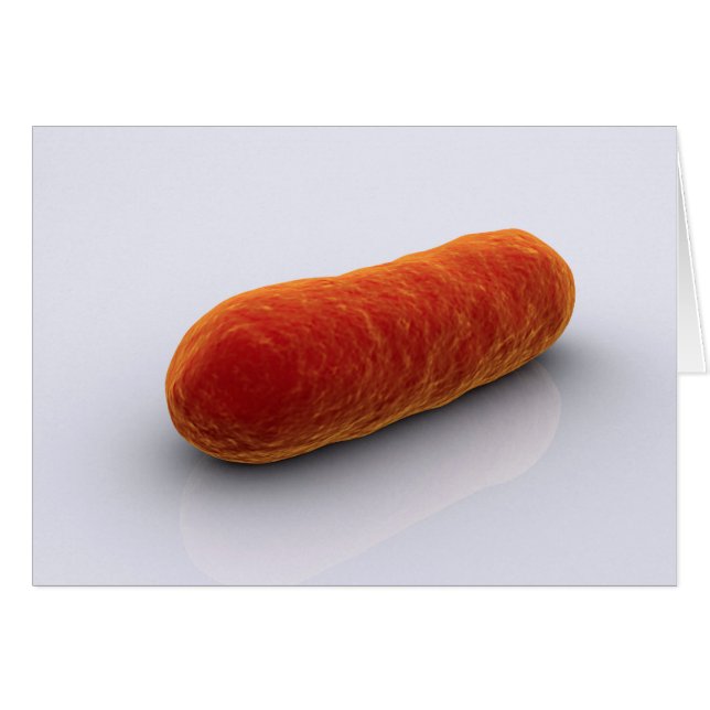 Bakteriebild 4 hälsningskort (Framsidan Horizontal)