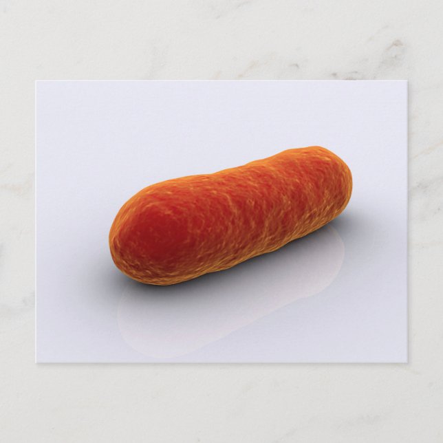 Bakteriebild 4 vykort (Framsida)