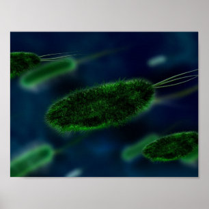 BakterieMicrobes Poster
