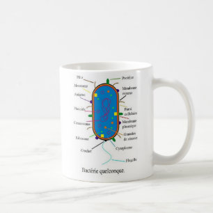 Bakteriemugg Kaffemugg