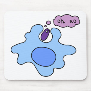 BakteriePhagocytosis Musmatta