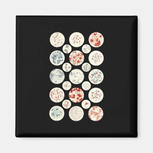 Bakterier, lustigt mikrobiologiskt bakteriesäkerhe magnet (Framsidan)