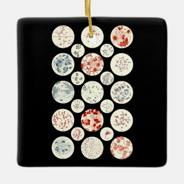 bakterier som är mikrobiologiska mikrobiologiska b julgransprydnad keramik (Framsida)