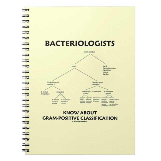 Bakteriologer Know Gram-Positive Classification Anteckningsbok (Framsidan)