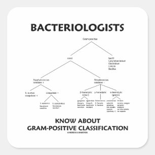 Bakteriologer Know Gram-Positive Classification Fyrkantigt Klistermärke