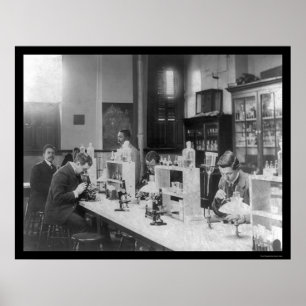 Bakteriologi Lab vid Howard Univiversity 1900 Poster