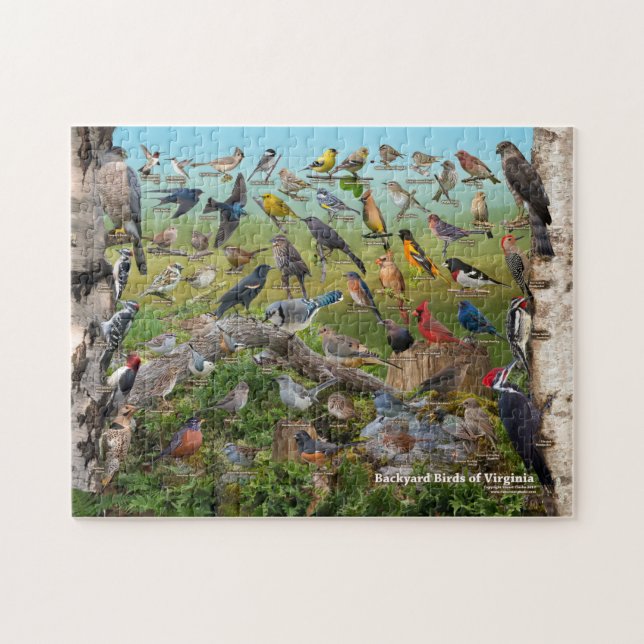Bakyard Birds of Virginia Pussel (Horisontell)