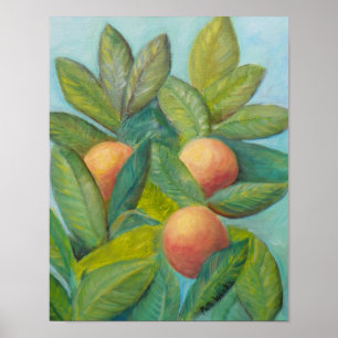 BAKYARD FLORIDA-ORANGAR Poster