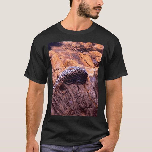 Bal torrlof t shirt (Framsida)