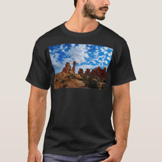 Balanced Rock Arches National Park T Shirt