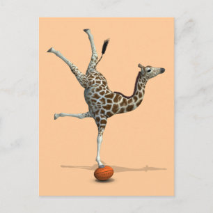 Balancing Giraffe Vykort