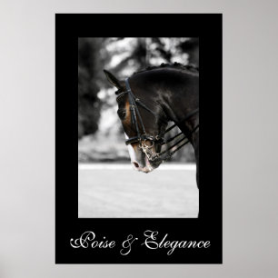 Balans & elegans poster