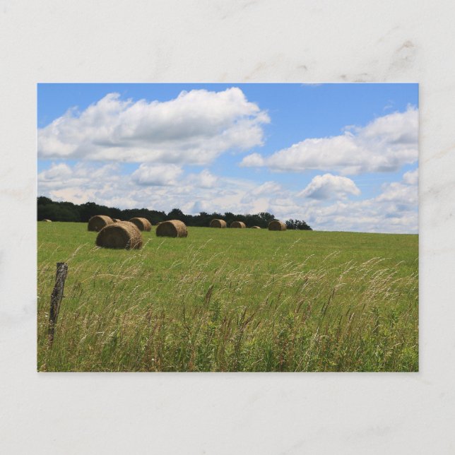 Balansen sommaren 2 vykort (Framsida)