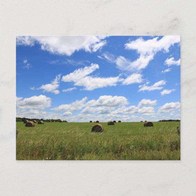 Balansen sommaren 3 vykort (Framsida)